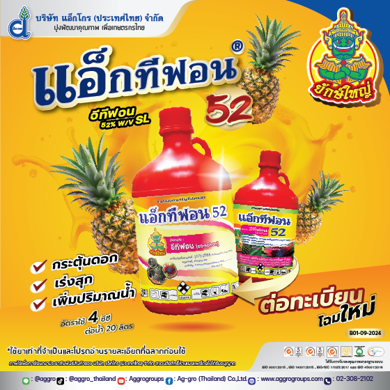 แอ็กทีฟอน 52